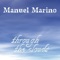 Flying Around - Manuel Marino lyrics