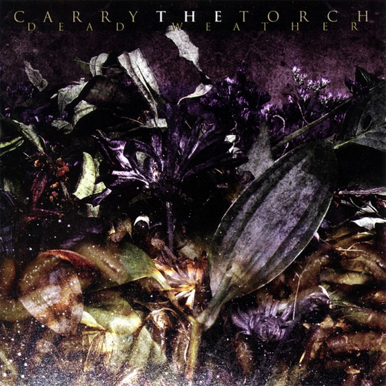 Cover artwork for Circuitry
