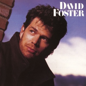 David Foster - The Best of Me - Line Dance Musik