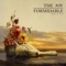The Turnaround - The Joy Formidable lyrics
