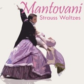 Strauss Waltzes artwork