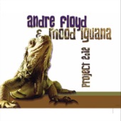 Andre Floyd & Mood Iguana - Fear of the Dark