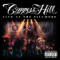 Hits from the Bong - Cypress Hill lyrics