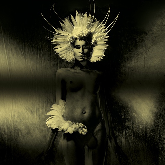 Cover artwork for Caged Bird (feat. Katrina Ford)