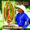 Virgencita de Guadalupe - José Guadalupe Esparza lyrics