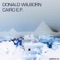 Cairo - Donald Wilborn lyrics
