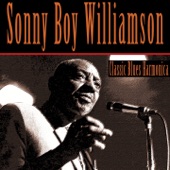 Sonny Boy Williamson - Bad Luck Blues