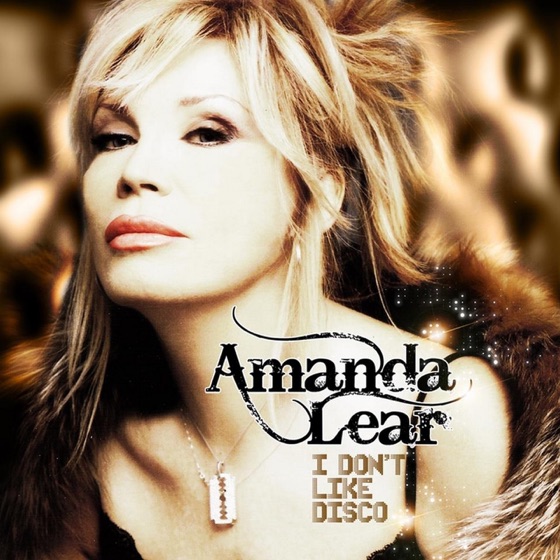 Cover artwork for I Don't Like Disco