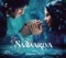 Saawariya (Reprise) - Monty Sharma & Shail Hada lyrics