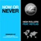 Now or Never (Klauss Goulart Remix) - High Rollers lyrics