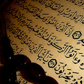 El Corán Santo, Vol. 13 - الشيخ محمد صديق المنشاوي