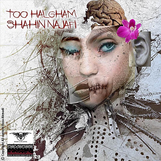 Cover artwork for Too Halgham