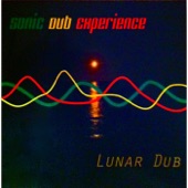 Sonic Dub Experience - Once in a Blue Moon