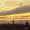 Orchestra della Svizzera Italiana, Chloë Hanslip & Alexander Vedernikov - Symphony No. 6 in G Major, Op. 116: II. Haydn-Mozart'sche Periode 1780: Larghetto