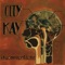 Preoccupations - City Kay lyrics