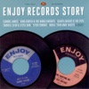 Enjoy Records Story artwork