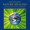 Nature Healing (Instrumental Music for Relaxing & Meditation)