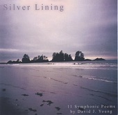 Silver Lining, 2005