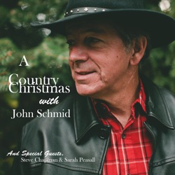 John Schmid - Carol of the Bells (feat. Mykola Dmytrovych Leontovych)