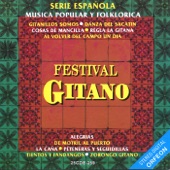 Serie Española: Festival Gitano artwork