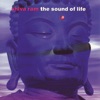The Sound of Life