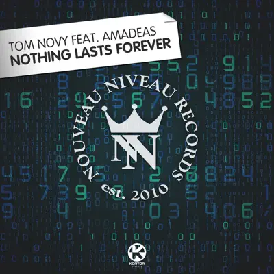 Nothing Lasts Forever (feat. Amadeas) - Single - Tom Novy