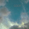 Coot, 2012