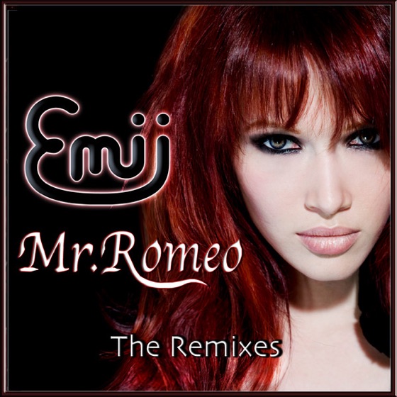 Cover artwork for Mr. Romeo (S.T.F.U. Radio Edit)