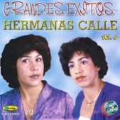 Hermanas Calle - Grandes Éxitos, Vol. 6