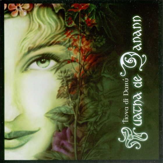 Cover artwork for De Danann's Voice