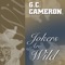 I'll Be Around - G. C. Cameron lyrics