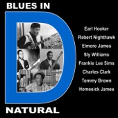 Blues in D Natural With Earl Hooker, Robert Nighthawk, Elmore James, Sly Williams, Frankie Lee Sims, Charles Clark, Tommy Brown and Homesick James artwork