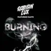 Stream & download Burning (Remixes) [feat. Dante]