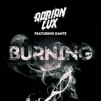 Burning (Remixes) [feat. Dante] by Adrian Lux album reviews, ratings, credits