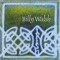 Finnegan's Wake - Billy Walsh lyrics