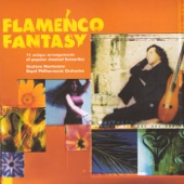 Flamenco Bolero artwork