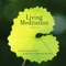 Extended Guided Meditation - Music for Deep Meditation lyrics