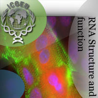 Rna Structure and Function
