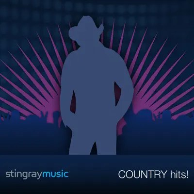 I Wish I Could Have Been There (In the Style of John Anderson) [Performance Track with Demonstration Vocals] - Single - Done Again