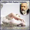 Tchaikosky: Swan Lake (Excerpts) album lyrics, reviews, download