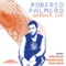 Wonder Joe (Hollen Remix) - Roberto Palmero lyrics