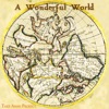 A Wonderful World artwork