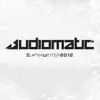 Audiomatic Dj-Mix Winter 2012 album lyrics, reviews, download