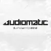 Stream & download Audiomatic Dj-Mix Winter 2012