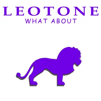 What About (Sunday Broken Instrumental Mix) by Leotone song reviws