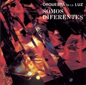 Orquesta De La Luz - Mambo de la Luz