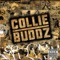 My Everything - Collie Buddz lyrics