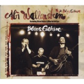 Blues Culture (feat. Steve Baker & Martin RÃ¶ttger) artwork