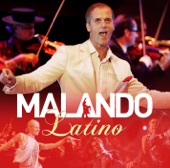 Malando Latino artwork