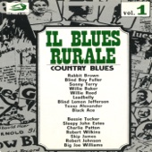 Rabbit Brown - James Alley Blues